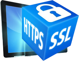 Dedicated SSL Certificate 
